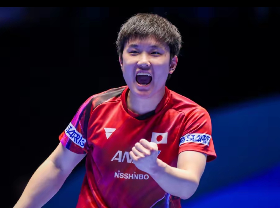 表现展开讨 表现展开讨