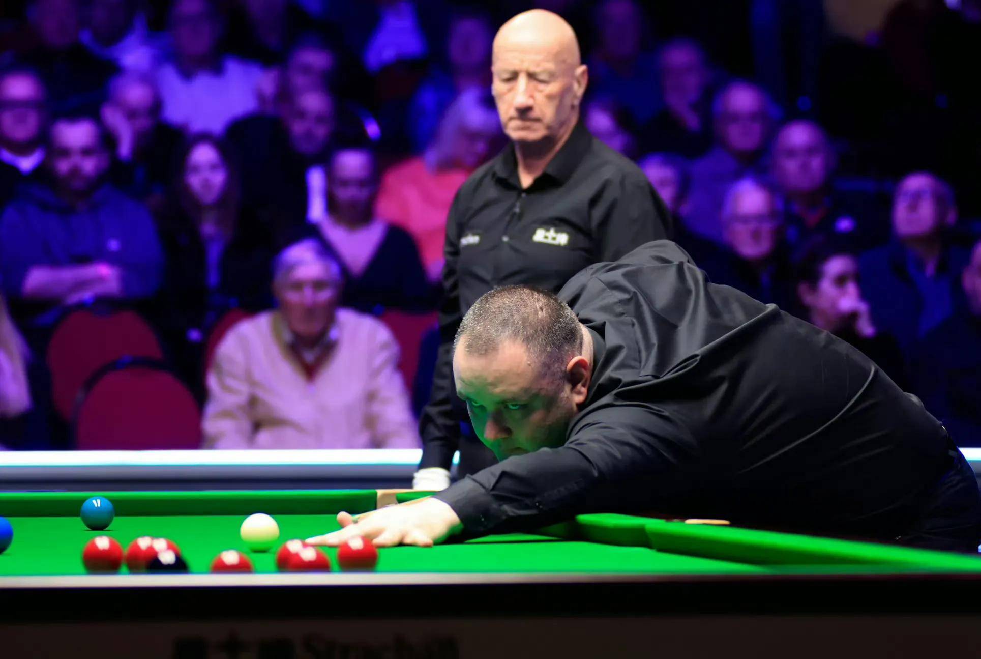 观众的反响 观众的反响