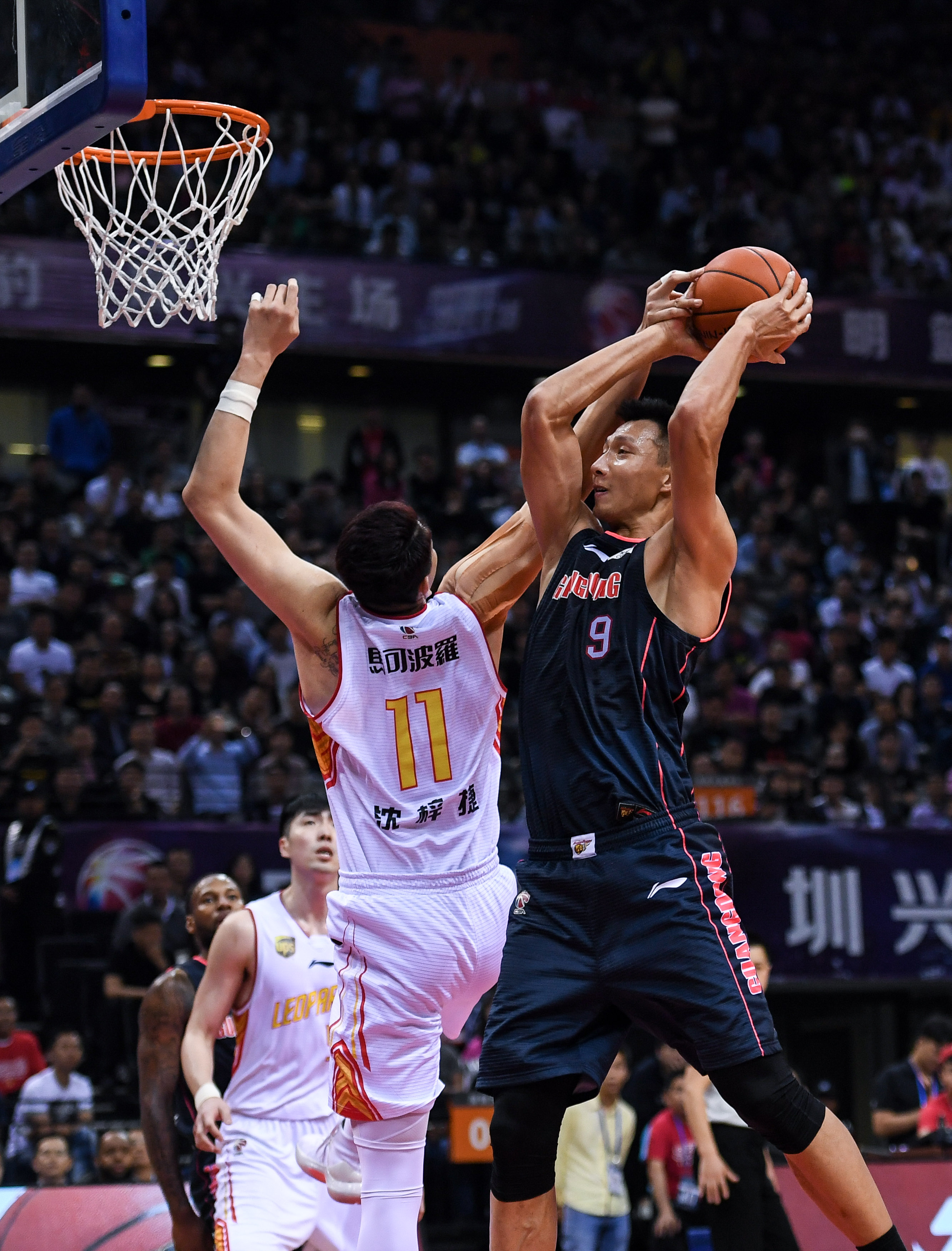 引了来自世 引了来自世